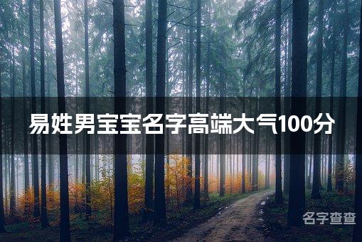 易姓男宝宝名字高端大气100分(精选美名)
