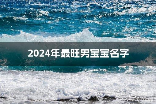 2024年最旺男宝宝名字(精选600个)